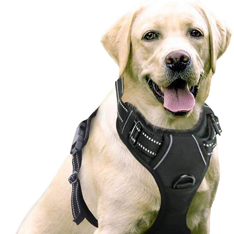 FS-Wholesale Price Fashion Attractive Design Soft Chest Pet Harness For Dog